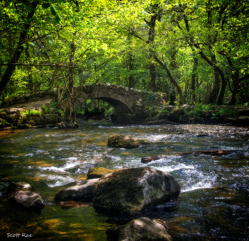 Hisley Packhorse Bridge 2 
 Keywords: UK spring england Devon SW river water bridge dartmoor trees