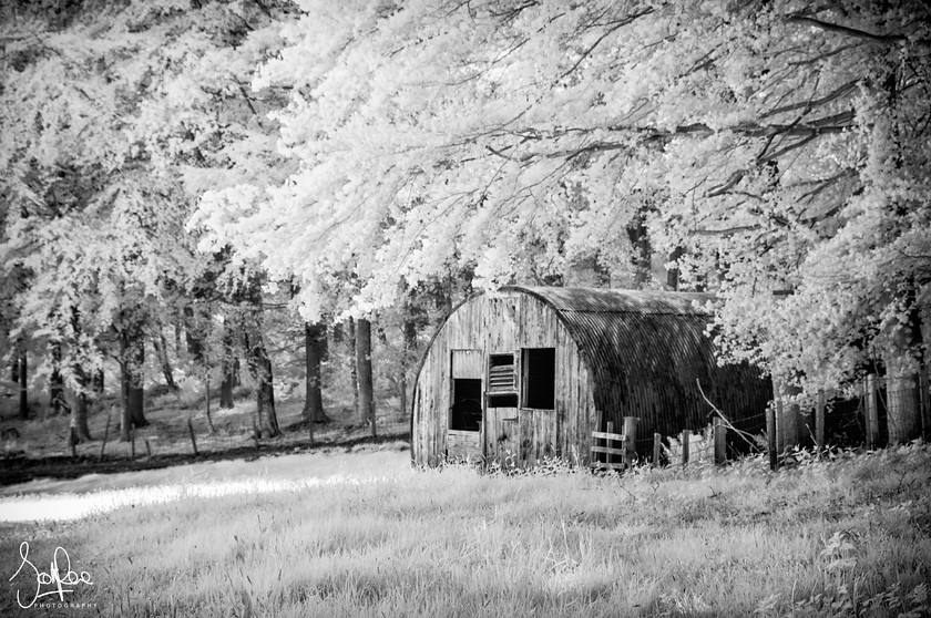 Old barn 
 Keywords: trees borders scotland b&w infrared buildings spring