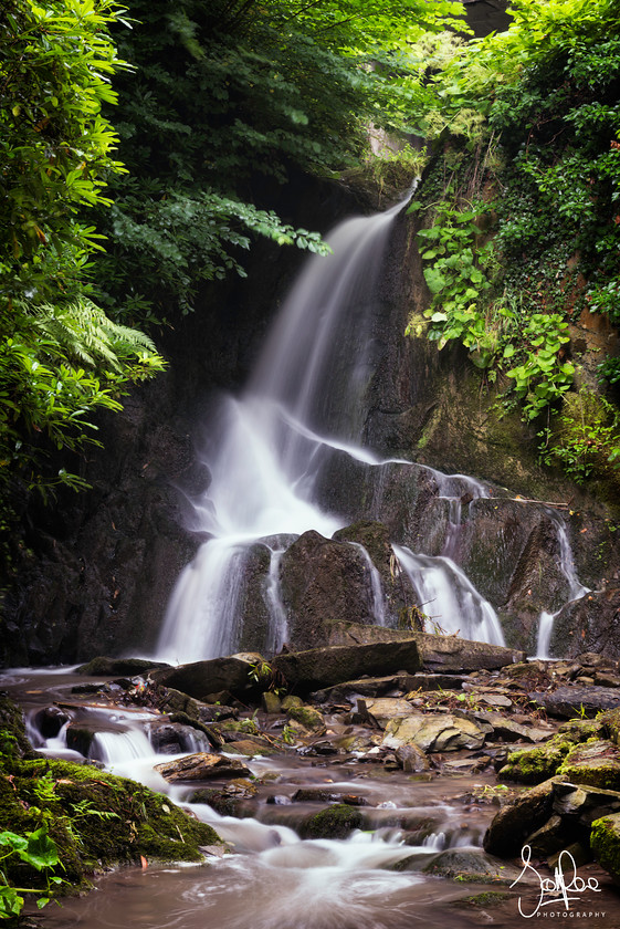 Waterfall Wilton Lodge Park 
 Keywords: waterfall borders scotland river water trees summer