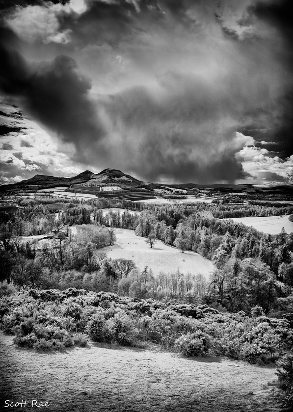 Eildon Storm IR 
 Keywords: borders hills infrared b&w trees river water scotland spring