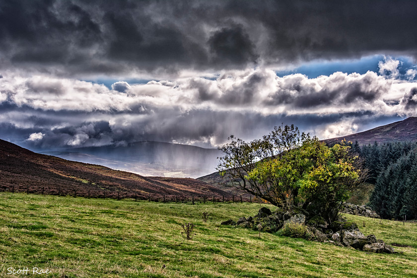 Meldons 
 Keywords: Borders hills scotland autumn Peebles trees