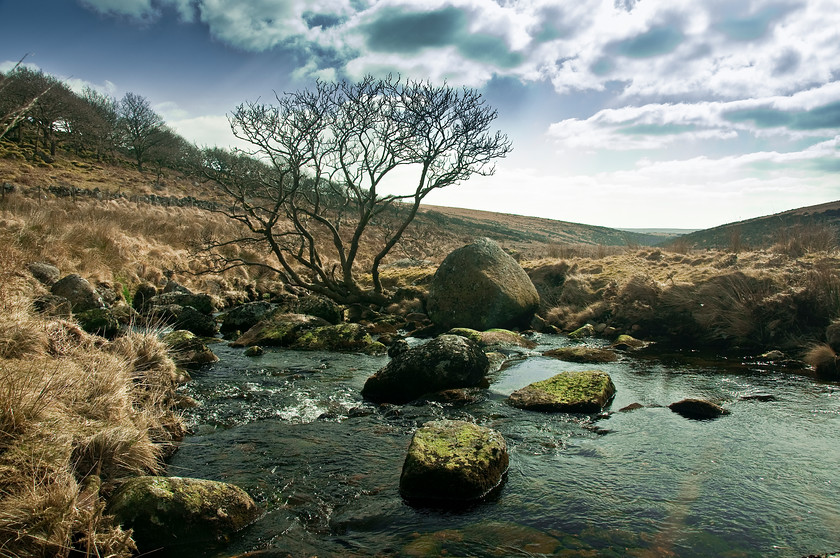 wistmans Wood river 
 Keywords: UK winter england hills devon river water sw moor dartmoor