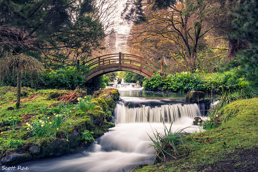 Japanese Gardens cascade 
 Keywords: waterfall gardens trees water river peebles scotland borders bridge spring