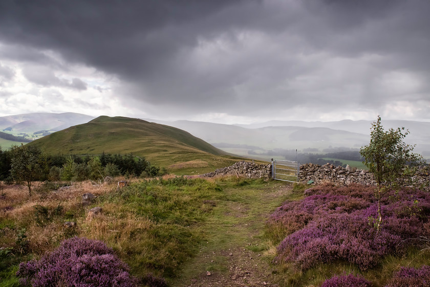 Stormy Cademuir 
 Keywords: hills borders peebles scotland summer moor