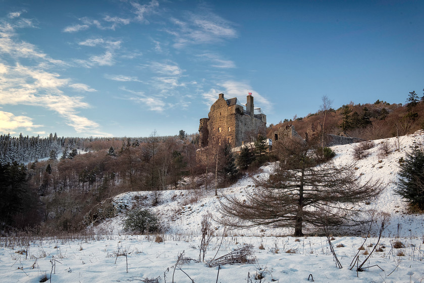 Snowy Neidpath 
 Keywords: castle peebles scotland snow trees winter borders