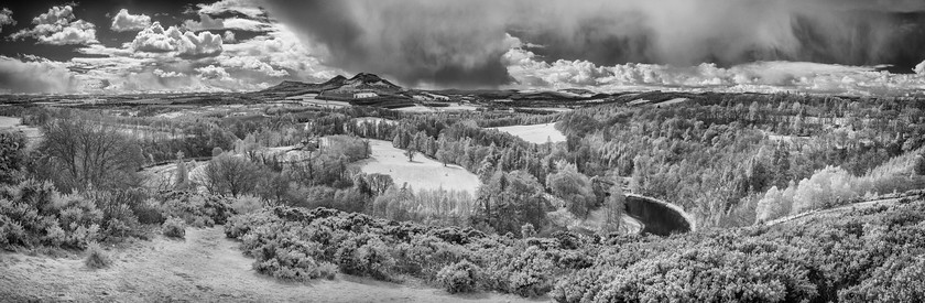 The Eildons IR 
 Keywords: borders hills panorama infrared b&w trees river water scotland spring