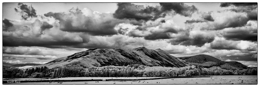 Cademuir Hill Panorama in Infrared 
 Keywords: Peebles Borders hills scotland summer infrared b&w panorama