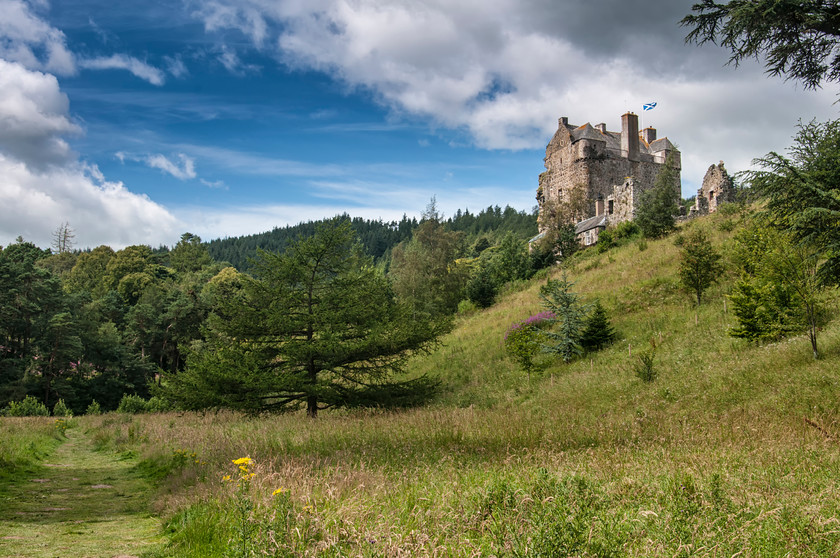 Neidpath Meadow 
 Keywords: Peebles Borders hills scotland castle summer