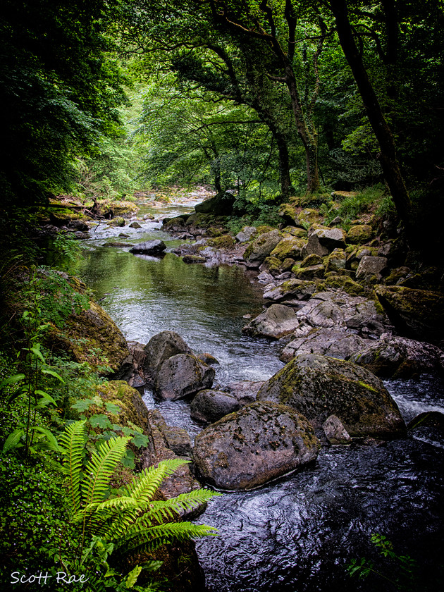 East Lyn River 
 Keywords: UK summer england Devon SW river water moor exmoor