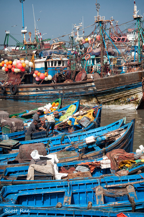 Essaouira-Harbour-1 
 Keywords: morocco africa world buildings sea coast water people