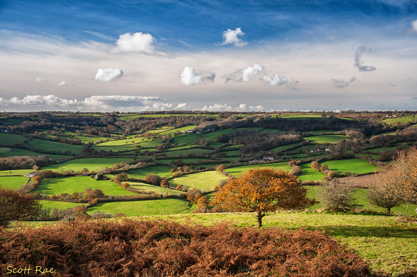 Autumn in the Blackdown Hills 
 Keywords: UK autumn england Devon SW hills moor